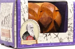 Casse-tête Darwin Oeuf