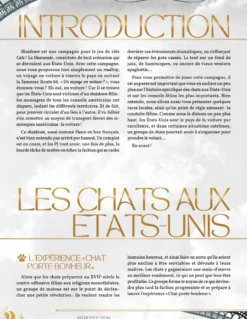 Cats!, la Mascarade - Shutdown