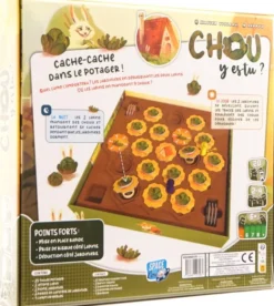 Chou y es-Tu ?