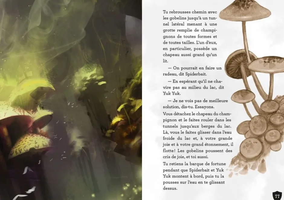 D&D : La Quête dont on est le héros - Un problème de taille