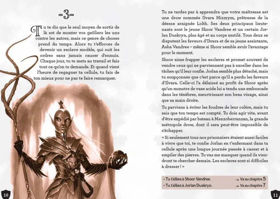 D&D : La Quête dont on est le héros - Un problème de taille