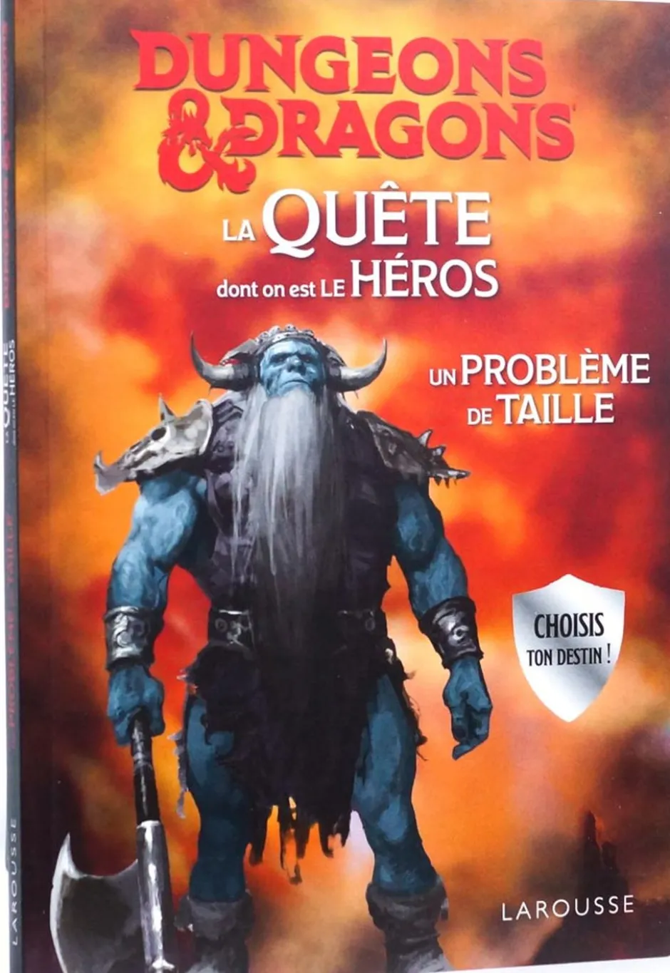 D&D : La Quête dont on est le héros - Un problème de taille