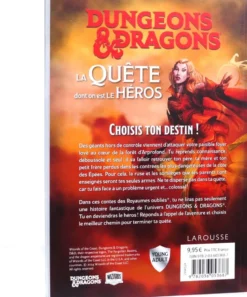D&D : La Quête dont on est le héros - Un problème de taille