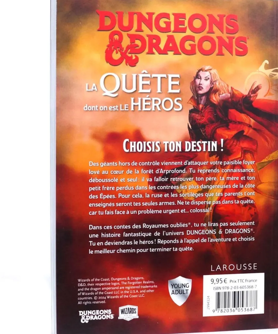 D&D : La Quête dont on est le héros - Un problème de taille