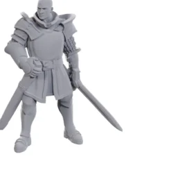 D&D Nolzur's Marvelous Miniatures - Baldur's Gate : Ulder Ravengard & Zevlor