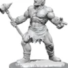 D&D Nolzur's Marvelous Miniatures: Cyclops