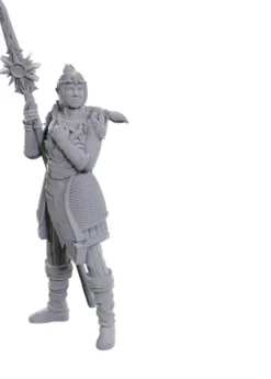 D&D Nolzur's Marvelous Miniatures - Baldur's Gate : Lae'zel & Shadowheart