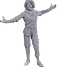 D&D Nolzur's Marvelous Miniatures - Baldur's Gate : Volo & Withers