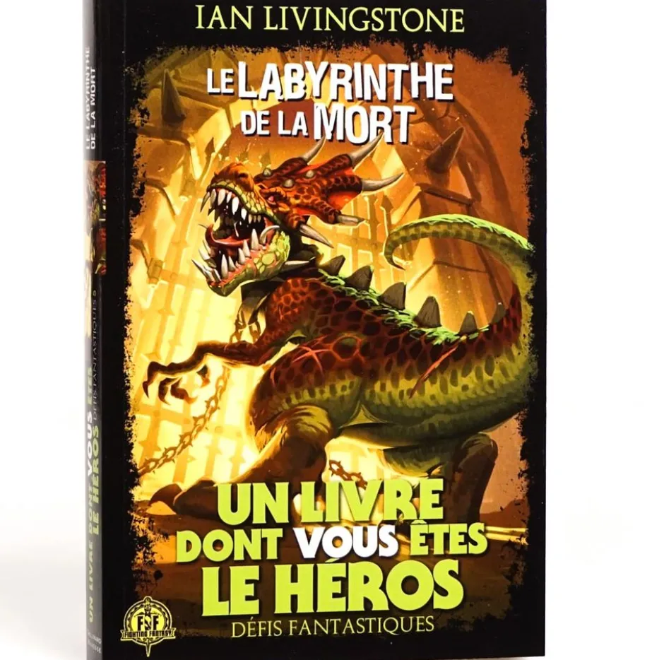 Défis Fantastiques 05 : Le labyrinthe de la mort