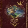 Draconis : Héritage - Livre de Base