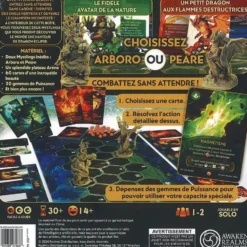 Dragon Eclipse : Mystling Academy - Peare Vs Arboro