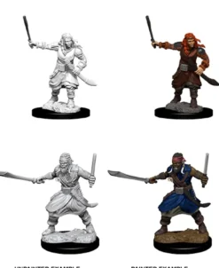 Dungeons & Dragons : Nolzur's Marvelous Unpainted Miniatures - Bandits