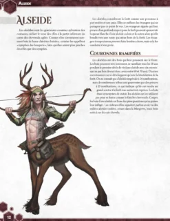 5E Compatible - Le Livre des Héros