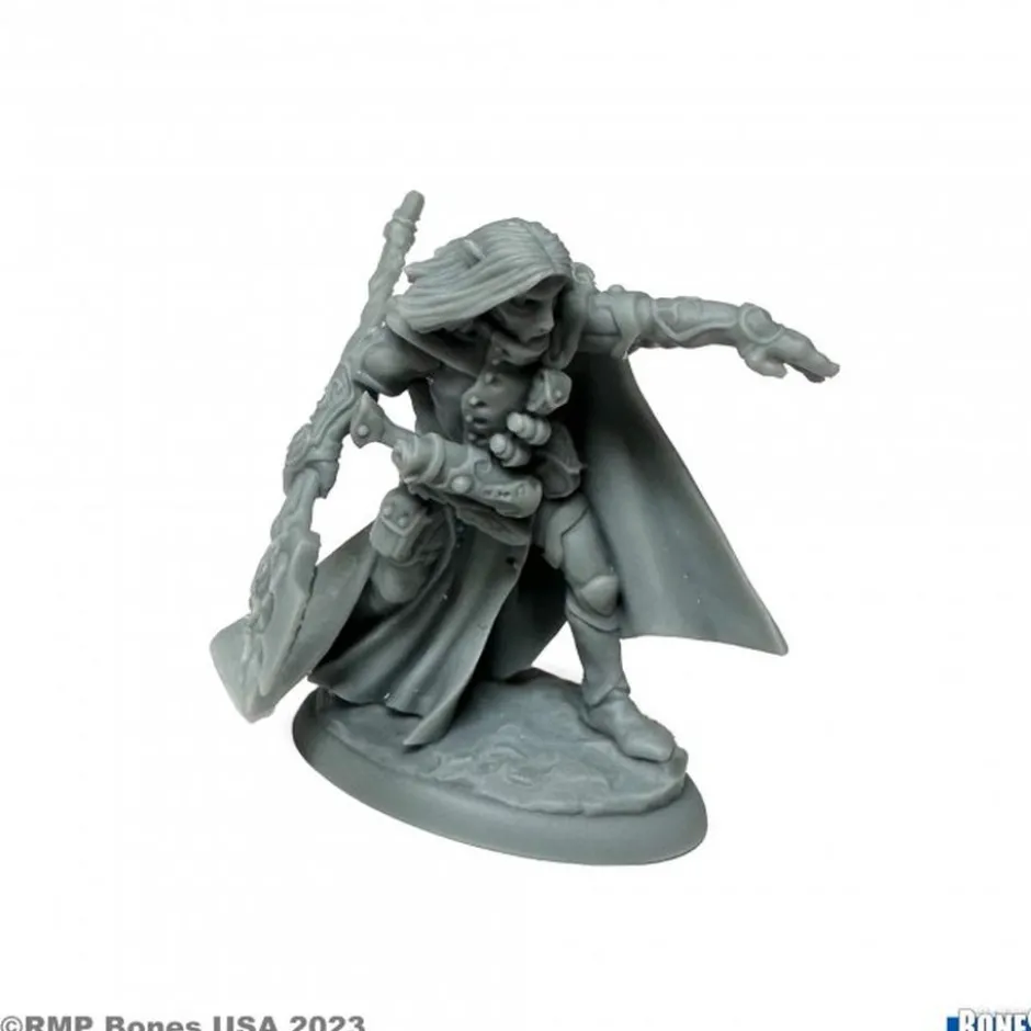 Elquin the Daring, Elf Hero (M)