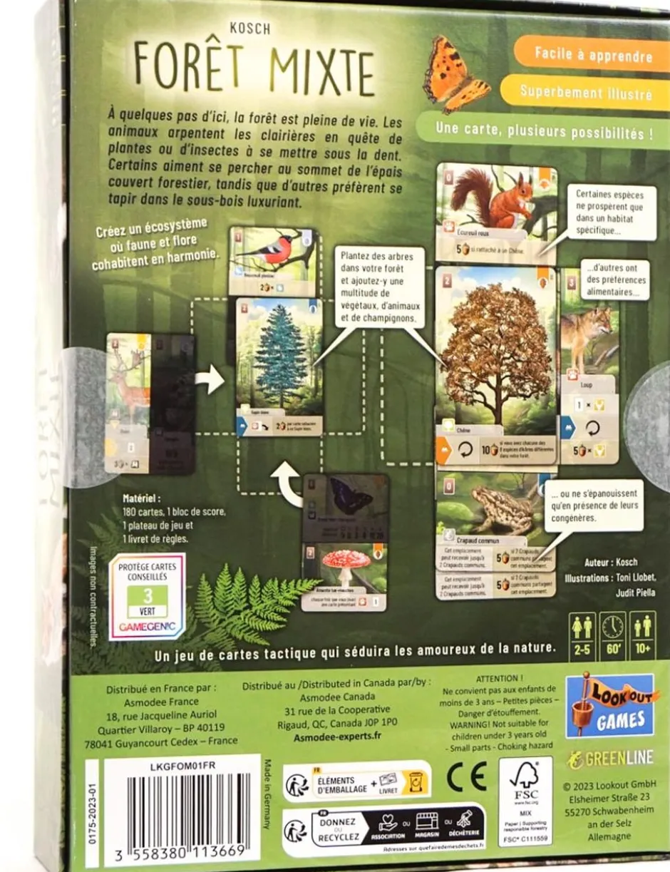 Forêt Mixte