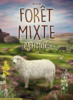 Forêt Mixte Dartmoor