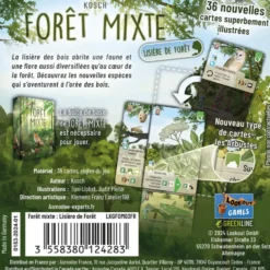 Forêt Mixte : Lisière de forêt (Ext.)