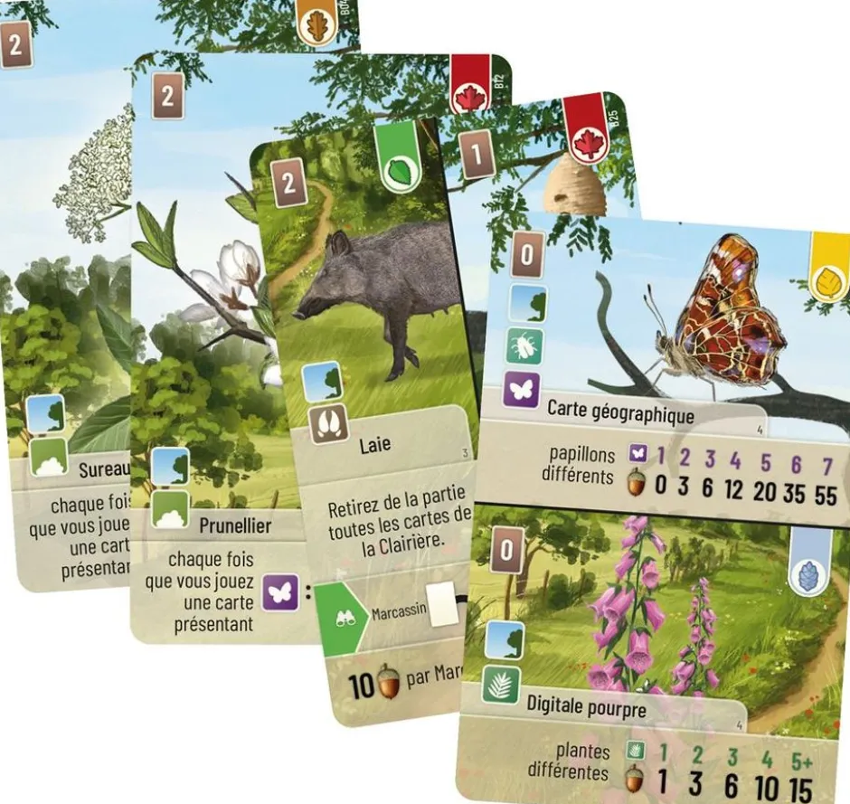 Forêt Mixte : Lisière de forêt (Ext.)