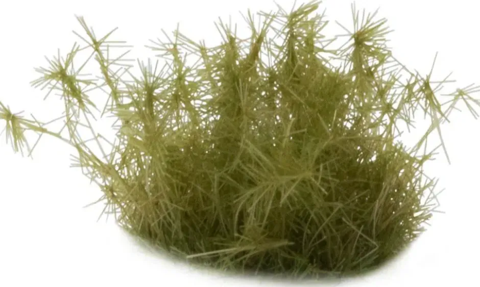 Herbes synthétiques : Spikey Green