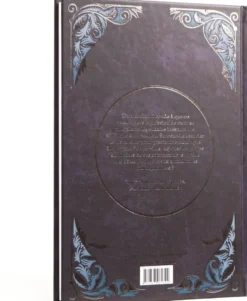 La Pierre du Dragon : un roman illustré dont vous êtes le héros