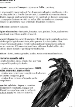 La Voie du Corbeau – Jeu de Rôle Solo