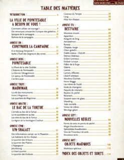 L'Eveil des Seigneurs des runes - édition anniversaire - Chroniques Oubliées 2ème Edition