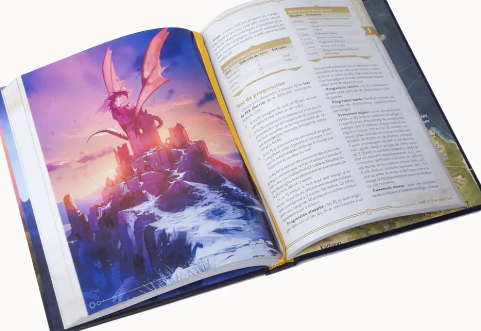 Livre de Base Couverture Alternative - Chroniques Oubliées 2ème Edition