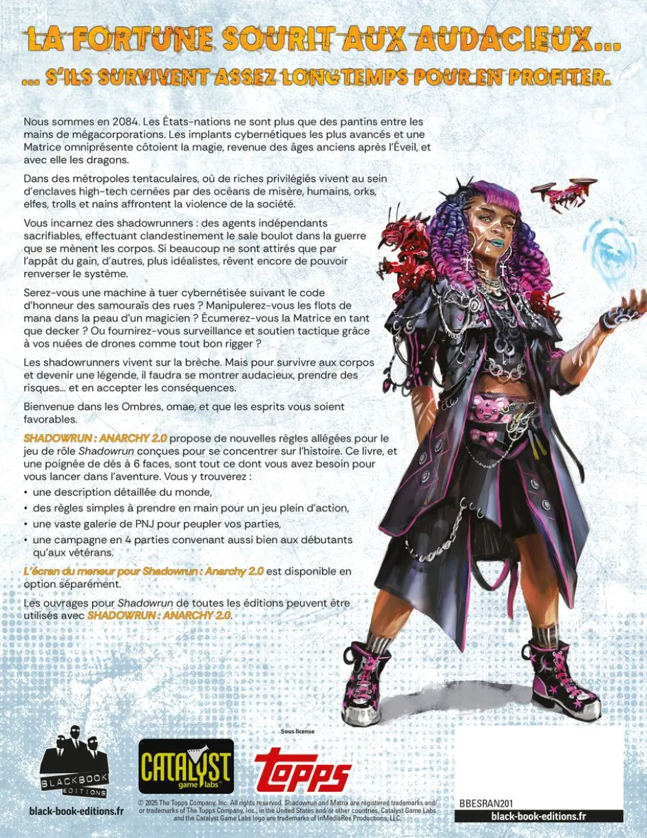 Livre de base - Shadowrun Anarchy V2
