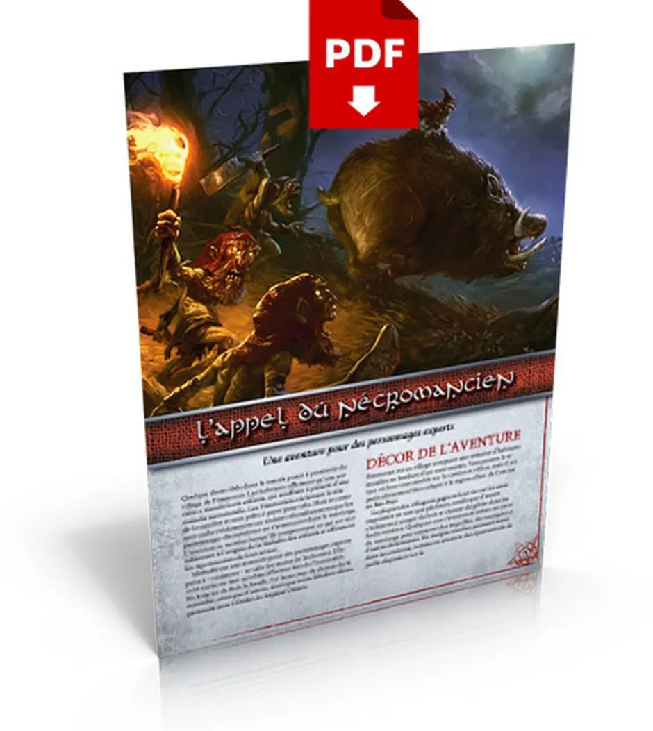 L'Ombre du seigneur démon - L'Appel du nécromancien (PDF)