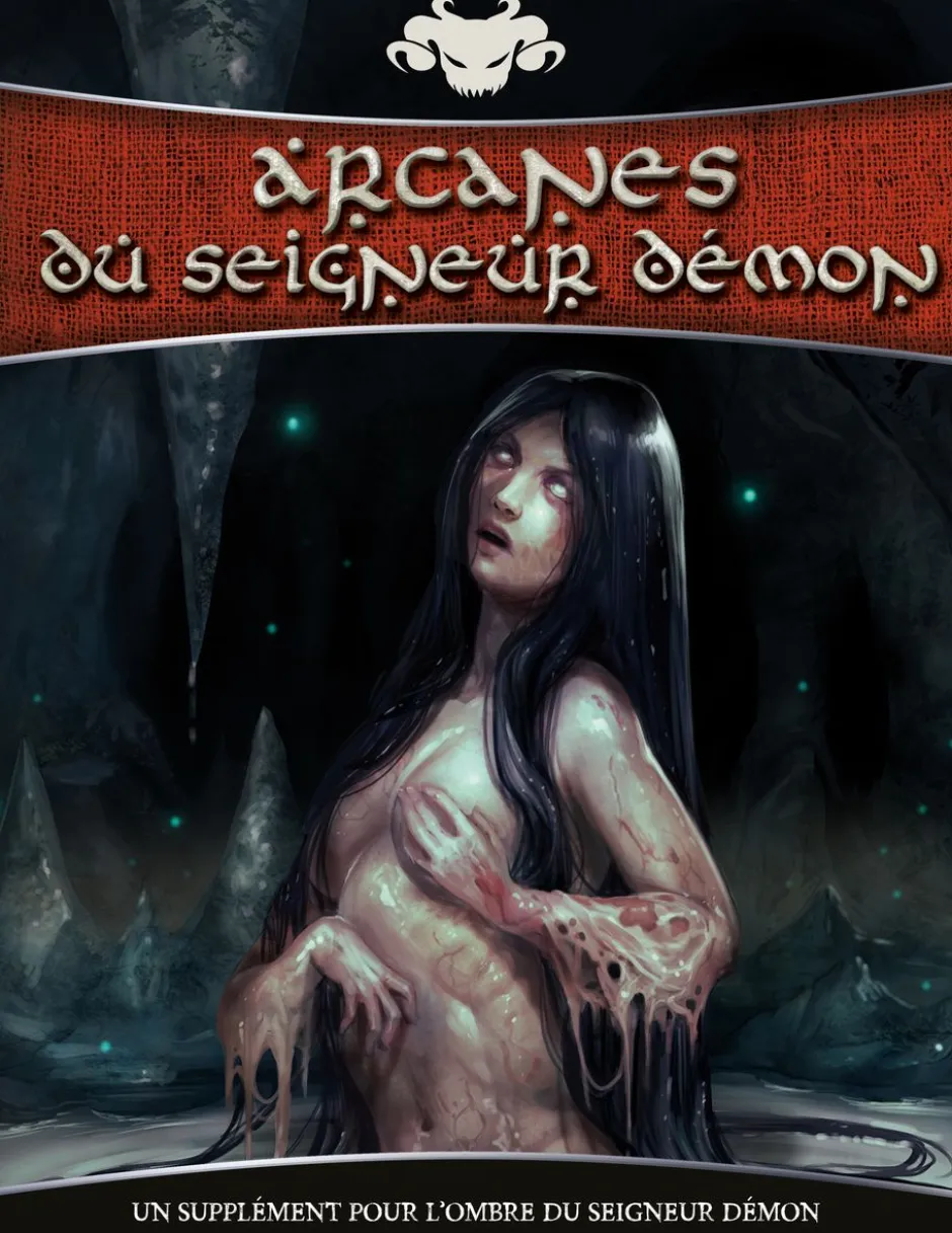 L'Ombre du seigneur démon - Les Arcanes du Seigneur Démon