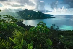 Puzzle : Vue sur Hawaï