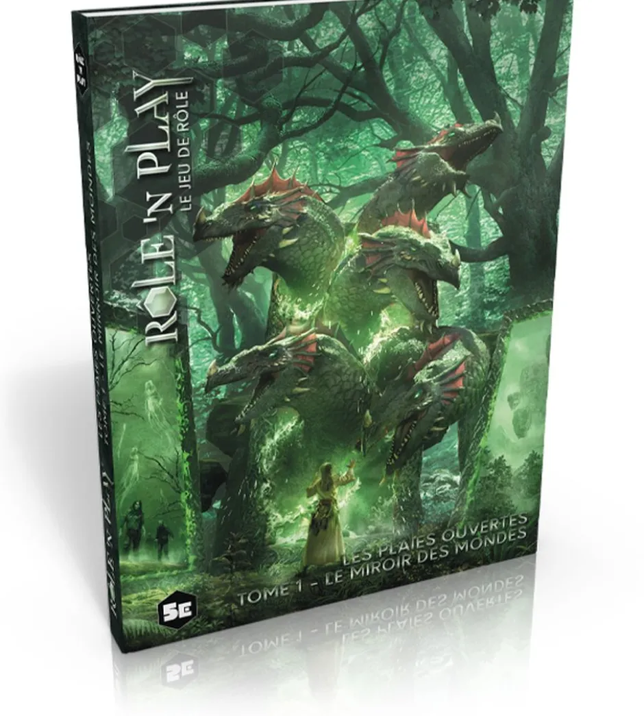 Role'n Play - Les plaies ouvertes, Tome 1 Le miroir des mondes
