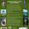 Shaan World : Livre-jeu Chrysalis