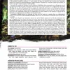 Shadowrun 6 - Seattle, Cité d'émeraude