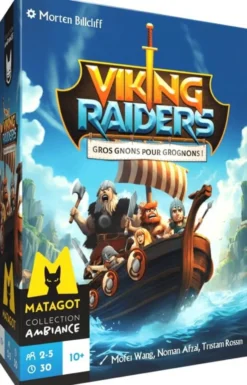 Viking Raiders