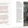 Werewolf The Apocalypse: Shattered Nation Sourcebook VO